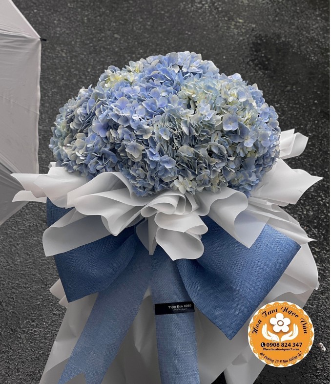 Bó Hoa Cẩm Tú Cầu "Ôm Cả Bầu Trời"