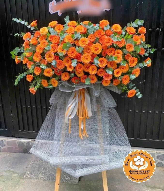 Kệ Hoa Năng Lượng Sáng Tạo